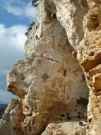 thumbs/29Dez06 Rocca di Cornu16.JPG.jpg